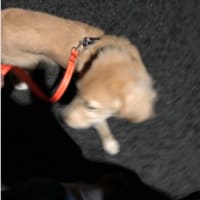 モナ散歩