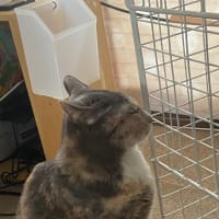暖とってます。