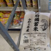 米どころ新潟で､政府備蓄米が売られる哀しさよ・・・