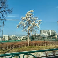 お久しぶりんこ✨