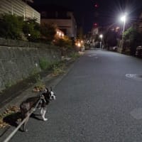 鳥友さん達と高倉町珈琲店へ