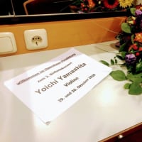 The Red Violin Suite