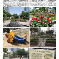 施設案内東京-537     赤坂氷川公園