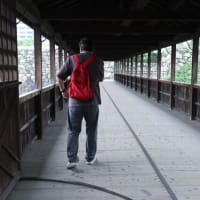 2024年10月5日～　墓終いの旅で愛媛へ　その9 チェックアウトそして駅界隈を散策　高松城