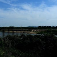 京都の流れ橋修復開通