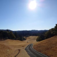 今年2回目のゴルフ