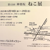 ６月１３日　美味しいお水