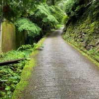 場所奈良桜井市大字多武峰 談山神社