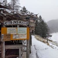 【双子池ヒュッテ】積雪＆登山道情報 (2024.2.25時点)
