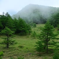 池ノ平湿原の景色