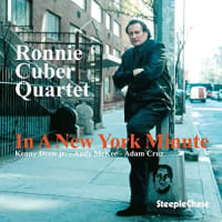 IN A NEW YORK MINUTE ／ RONNIE CUBER