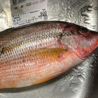 魚