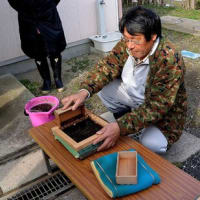 江戸前海苔づくり体験記①-木更津市