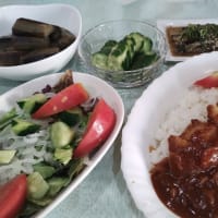 新玉たっぷりソースdeカツめし♪
