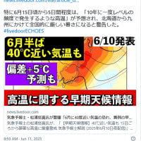 メガネと意匠とワタシ