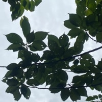 週末勤務