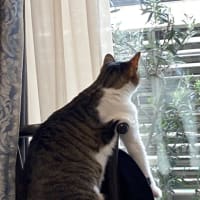 暖かくなってきたので