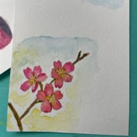 桜を描きました