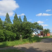 週末のレストランは当日予約は無理だった件