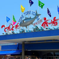 高野龍神スカイラインから南紀白浜　　2025.7.6