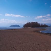 琵琶湖の異常な水位低下
