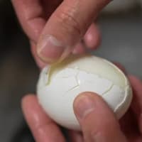 「ゆで卵」の“殻”がうまくむけないのはなぜ？　農水省が教える原因＆対処法

