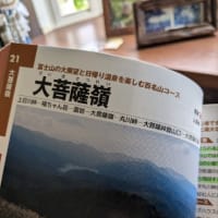 今日いち-2025年5月15日