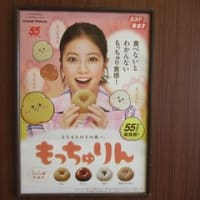 「もっちゅりん」騒動