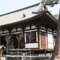 06/15奈良京都への旅-2（薬師寺）