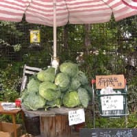 **cafe'Pont-Aven朝市**