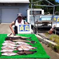 ９月１０日 水曜日