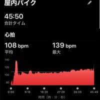サボテンの花 & 今日のトレーニング