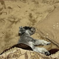 秋の記録