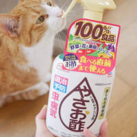 ミニトマトと庭の花　ユズちゃん