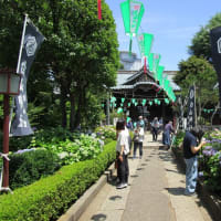 御朱印巡り　東京都文京区　白山神社