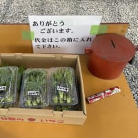 「カフェ モンタナ」多治見市