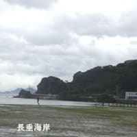 サタデーウォーク「九大学研都市から今宿界隈散策」（福岡市西区）