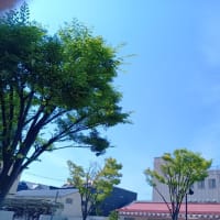 本日、大阪東住吉区中野上空地震雲。
