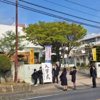 5月5日までのハイライト