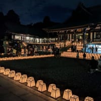 法多山尊永寺 万灯祭