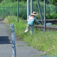 炎天下に高齢者三人