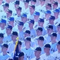 センバツ高校野球が始まりました❗️