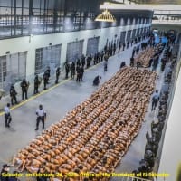 エルサルバドルは為政者の思いのままに超法規的取引までしてトランプのご機嫌を取るのか、日本も変わらないけど