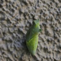 幸福なひととき