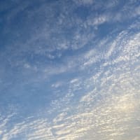 今日はいいお天気かな？