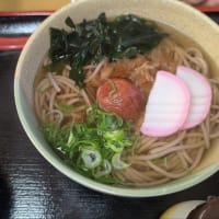 バス大集合！
