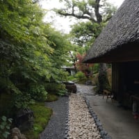 京都ロングステイ③