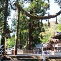 奈良「山野辺の道」歩き②