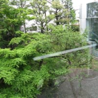 「岩田ガラス新収蔵品展」　新宿歴史博物館