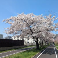 ウォーキング「白石こころーど」